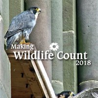 Making Wildlife Count - Leicester Biodiversity Making Wildlife Count - Leicester Biodiversity