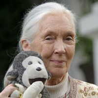 Jane Goodall's Roots and Shoots programme Jane Goodall's Roots and Shoots programme