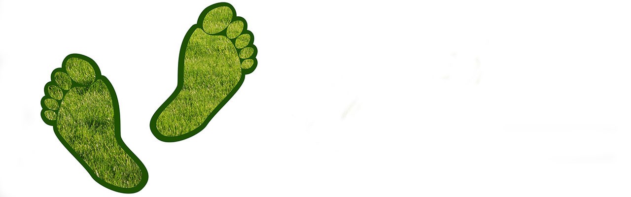 Carbon footprint