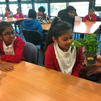 Rushey Mead 15 Children smelling a small herb plant