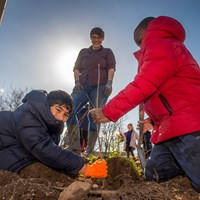 Two pupils helping plant a tiny forest at their school in the sunshine