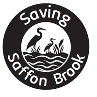 ssb logo.PNG